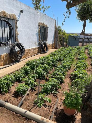 Chalet en venta en Vinaròs, Afueras photo 0