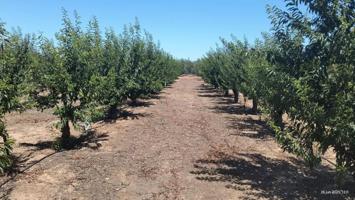 Chalet en venta en Benacazón, Benacazon photo 0