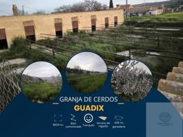 Casa con terreno en venta en Guadix photo 0