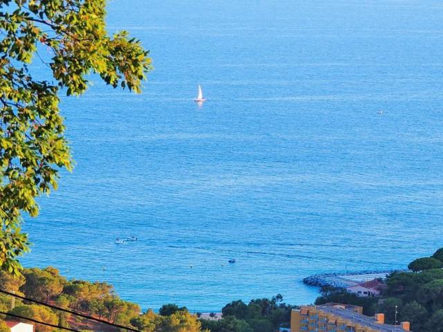 Terreno en venta en Lloret de Mar photo 0