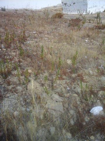 Terreno en venta en Arcos de la Frontera, Arcos De La Frontera photo 0