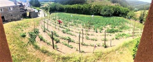 Casa en venta en Trabada, Trabada photo 0