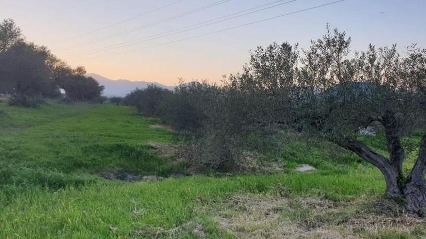 Terreno en venta en Alhaurín el Grande, Alhaurin El Grande photo 0