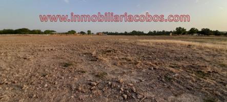 Chalet en venta en Écija, Alcarrachela photo 0