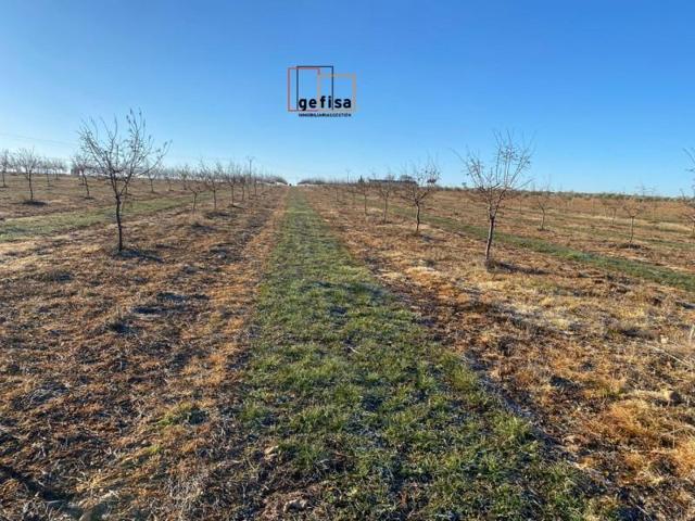 Terreno en venta en Valdepeñas, Buena photo 0