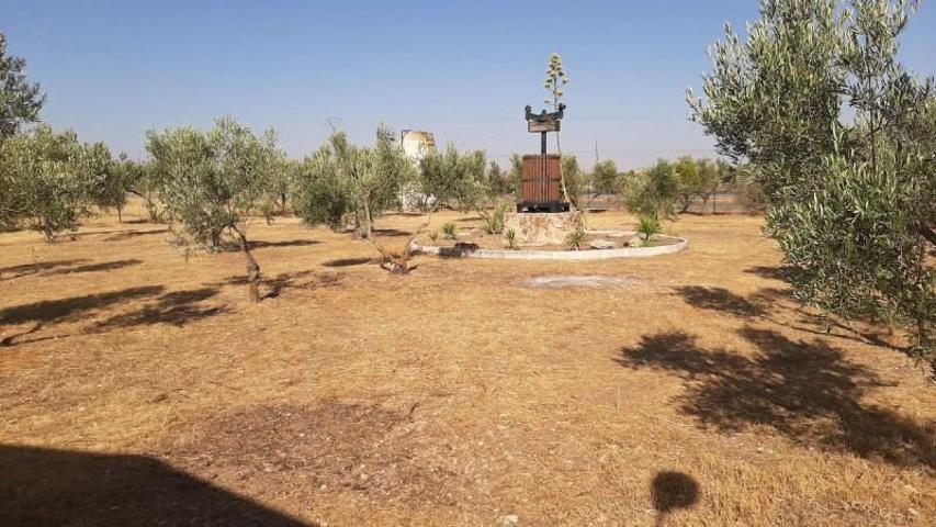 Chalet en venta en Santa Cruz de Mudela, Santa Cruz De Mudela photo 0