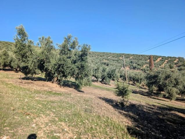 Chalet en venta en Loja, Loja photo 0