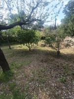 Chalet en venta en Aleixar, Aleixar (L`) photo 0