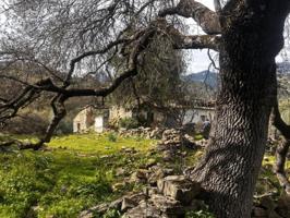 Chalet en venta en Grazalema, Ribera de Gaidovar photo 0