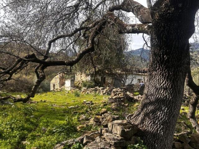 Chalet en venta en Grazalema, Ribera de Gaidovar photo 0