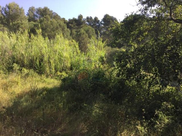 Terreno en venta en Palamós photo 0