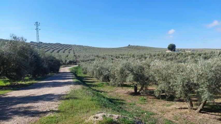 Chalet en venta en Quesada, Rustica - Brunel photo 0