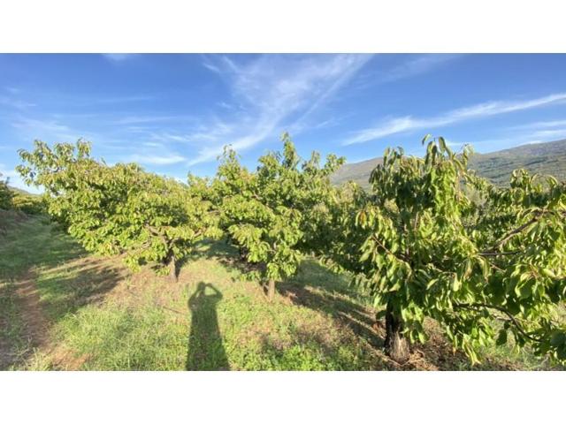 Chalet en venta en Navaconcejo photo 0