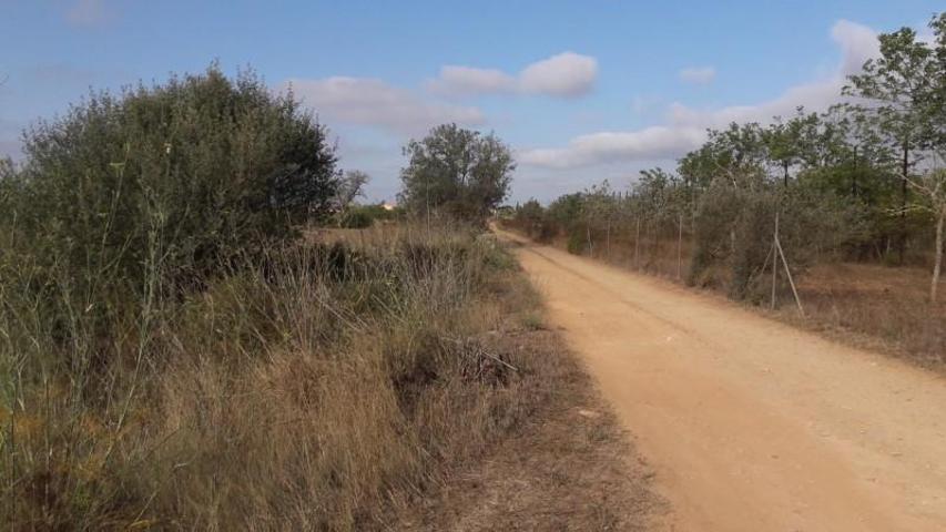 Terreno en venta en Algaida, Algaida photo 0