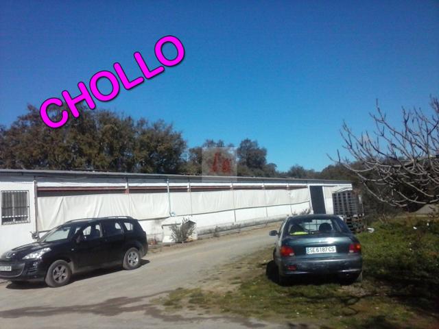 Nave industrial en venta en Segura de León, Segura De Leon photo 0