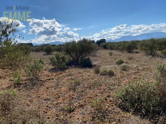 Chalet en venta en Ronda, Los Prados photo 0