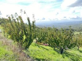 Chalet en venta en Barrado photo 0