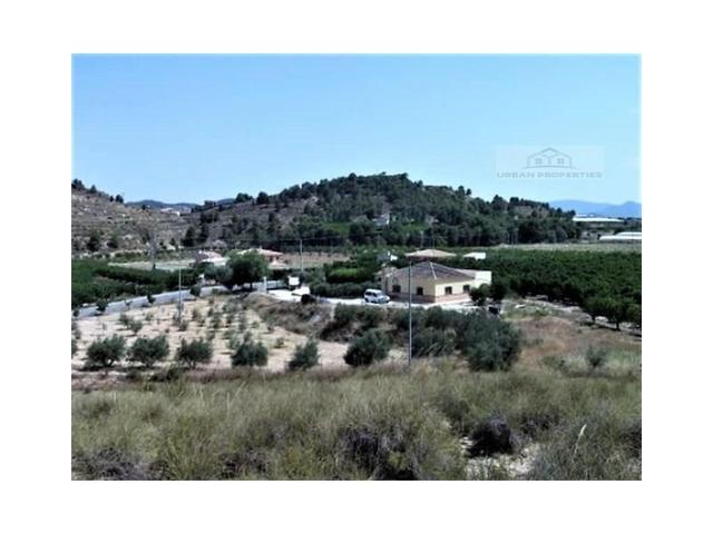 Chalet en venta en Cehegín photo 0