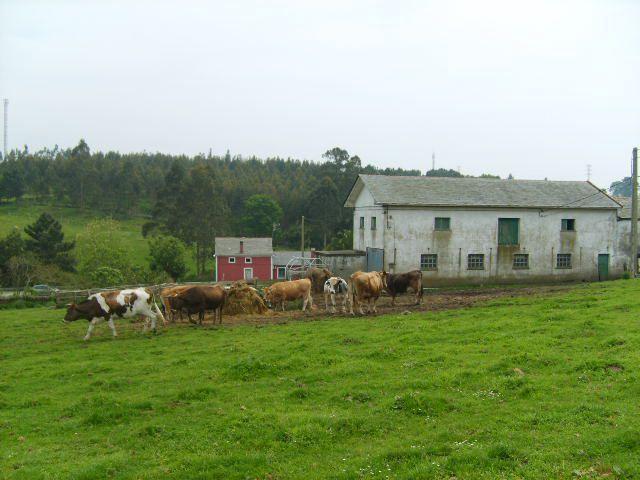 Chalet en venta en Coaña, Jarrio photo 0