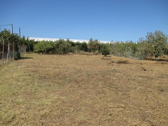 Terreno en venta en Conil de la Frontera, El Colorado photo 0