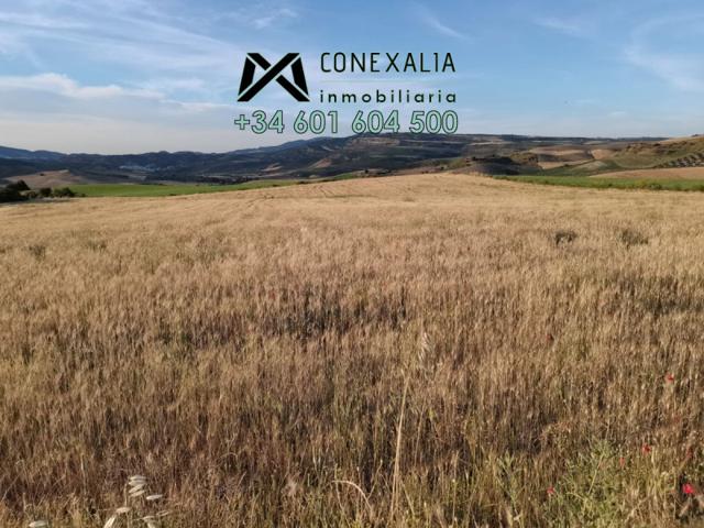 Chalet en venta en Setenil de las Bodegas, Setenil photo 0