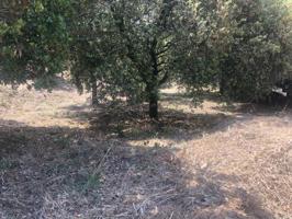 Terreno en venta en Sant Fost de Campsentelles, Mas Llombart photo 0