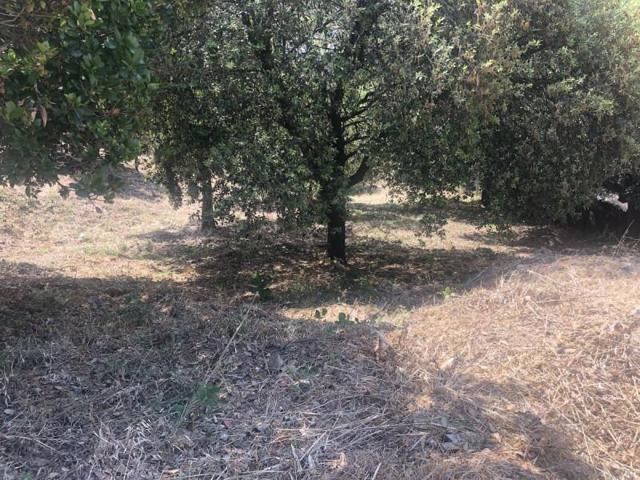 Terreno en venta en Sant Fost de Campsentelles, Mas Llombart photo 0