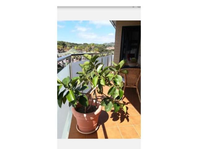 Piso en venta en Lloret de Mar photo 0