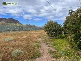 Chalet en venta en La Aldea de San Nicolás, Playa de la Aldea de San Nicolas photo 0