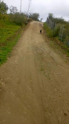 Chalet en venta en Alora, Alora photo 0