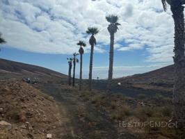 Terreno en venta en Haría photo 0