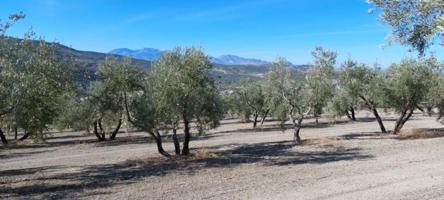 Chalet en venta en Quesada, Rustica - Cobatillas photo 0