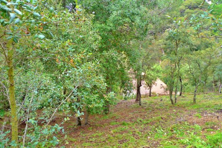 Terreno en venta en Lloret de Mar, Cala Canyellas photo 0