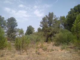 Terreno en venta en Algaida, Pina photo 0