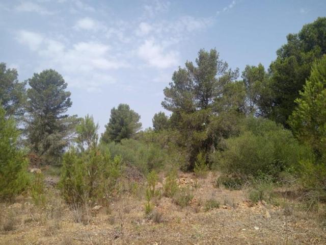 Terreno en venta en Algaida, Pina photo 0