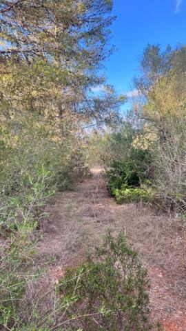 Chalet en venta en Algaida, Algaida photo 0