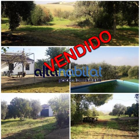 Chalet en venta en Alcalá de Guadaira, Carretera Utrera photo 0