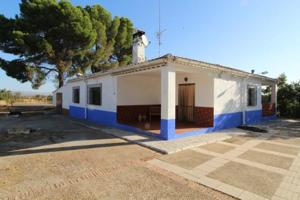 Chalet en venta en Daimiel, Daimiel photo 0