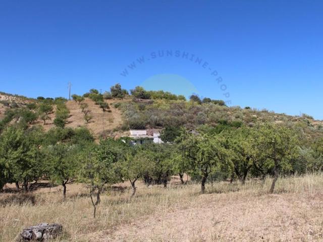 Casa con terreno en venta en Cástaras photo 0