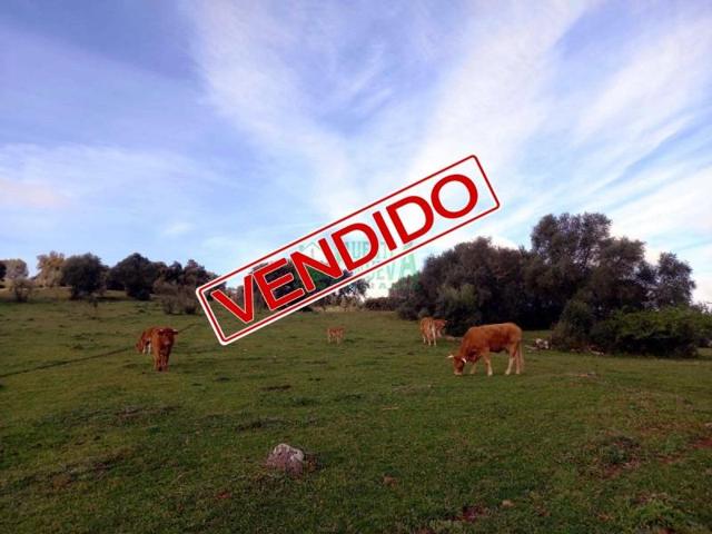 Chalet en venta en Burguillos del Cerro, Burguillos Del Cerro photo 0