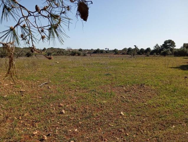 Terreno en venta en Algaida, Afueras photo 0
