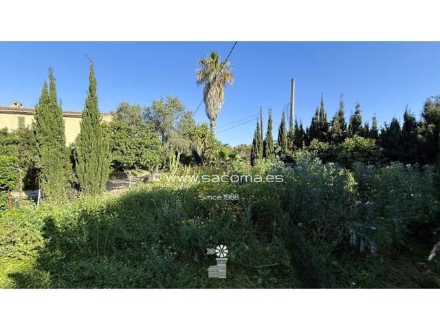 Terreno en venta en Sant Llorenç des Cardassar photo 0