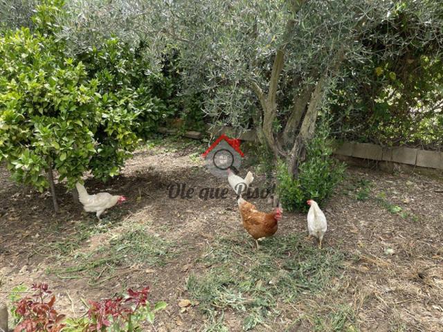 Casas de pueblo en venta en Alguazas, Alguazas photo 0