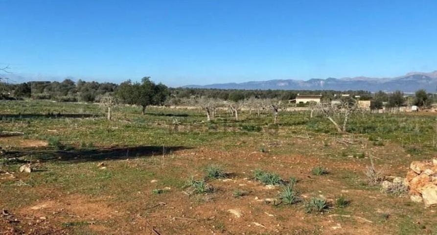 Chalet en venta en Sineu, Sineu photo 0