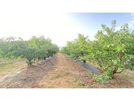 Chalet en venta en Zarza de Granadilla photo 0