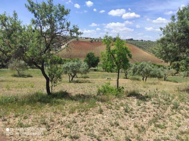 Casa con terreno en venta en Arcos de la Frontera, Arcos De La Frontera photo 0