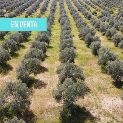 Terreno en venta en Fuente el Fresno, Fuente el Fresno photo 0