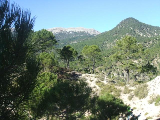 Chalet en venta en Villaverde de Guadalimar photo 0