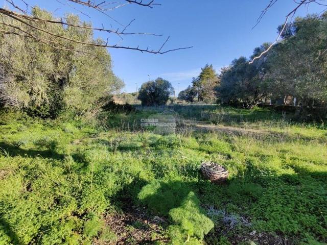 Terreno en venta en Mahón-Maó, Binixiquer photo 0