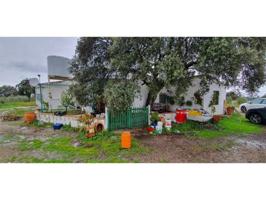 Chalet en venta en Dos Torres photo 0